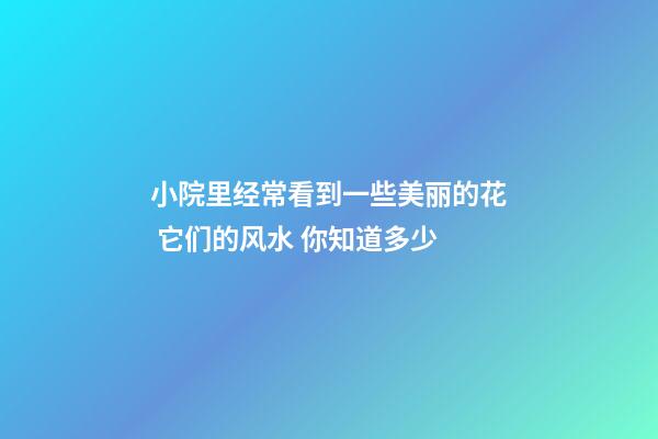 小院里经常看到一些美丽的花 它们的风水 你知道多少